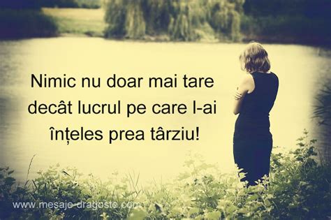 mesaje de dezamagire si minciuna|105 Cele mai bune citate despre dezamăgire, regret. Statusuri